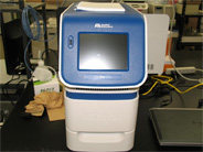 Real Time PCR Apparatus StepOne (Life Tech)