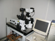 Confocal Laser Microcopy (Fluoview, Olympus)