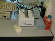Micro-volume UV-Vis spectrophotometer (NanoDrop 1000, Thermo Scientific)