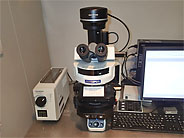 Olympus microscope BX53
