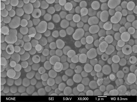 hollow TiO2 SEM