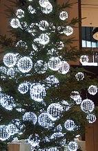 20121115a.jpg