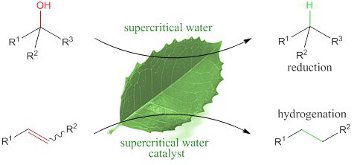 leaf.jpg