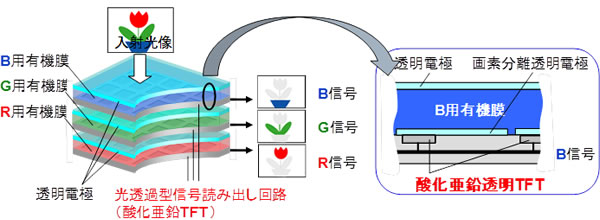 図２　新方式(積層型色分離)撮像素子の構造
