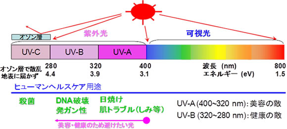 図１ 溶液霧化状態(左)と製膜装置(右)