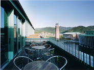 Appearance of KUT No. 7