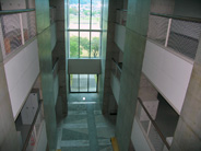 Appearance of KUT No.8