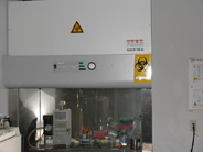 Class II Biosafety Cabinet